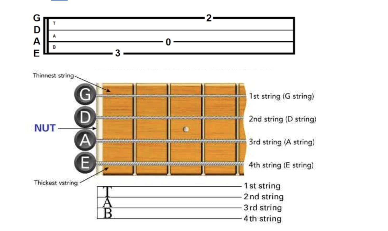 Easy Bass Tabs for Beginners: Check 12 Tabs and Pro-Tips Right Now! - Play  Guitars