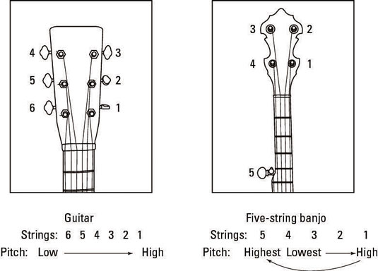 4 string shop banjo strings