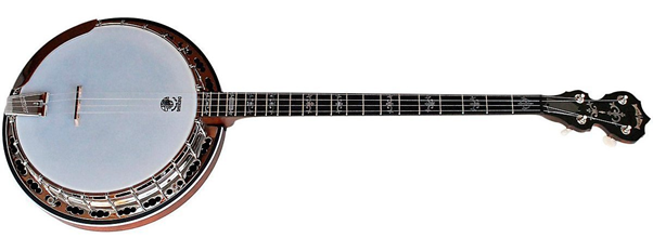 How Many Strings Does A Banjo Have? 3 Types Discussed - Play Guitars