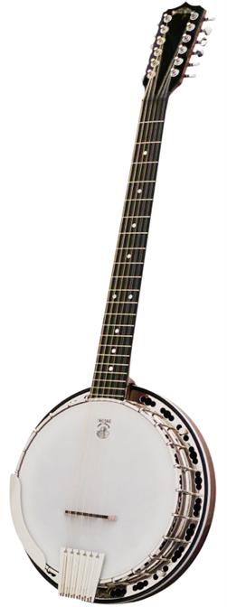 Types of Banjo A Detailed Guide Play Guitars