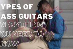 Types of Bass Guitars: Everything you need to Know